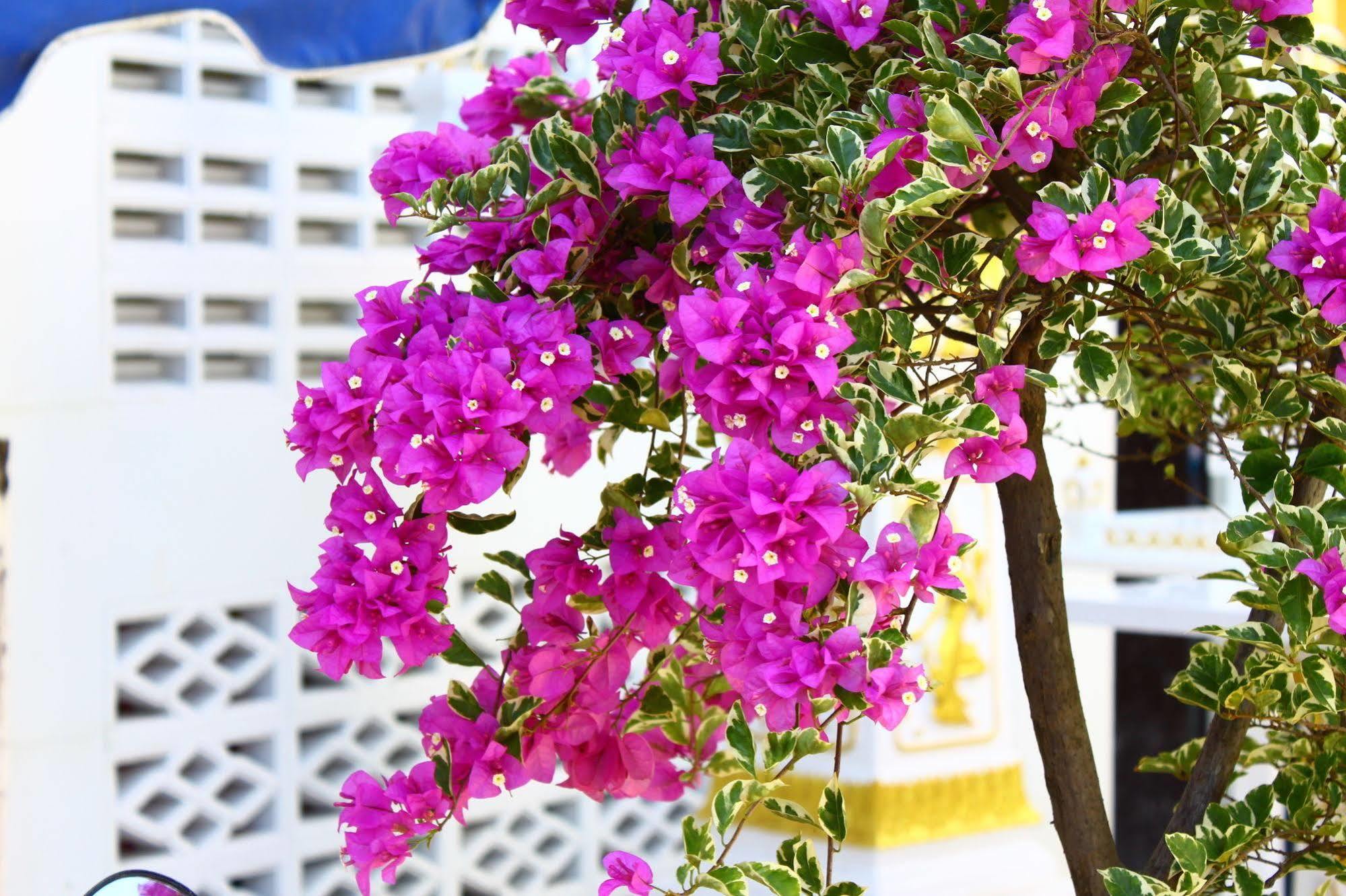 Pk Residence Phuket Luaran gambar